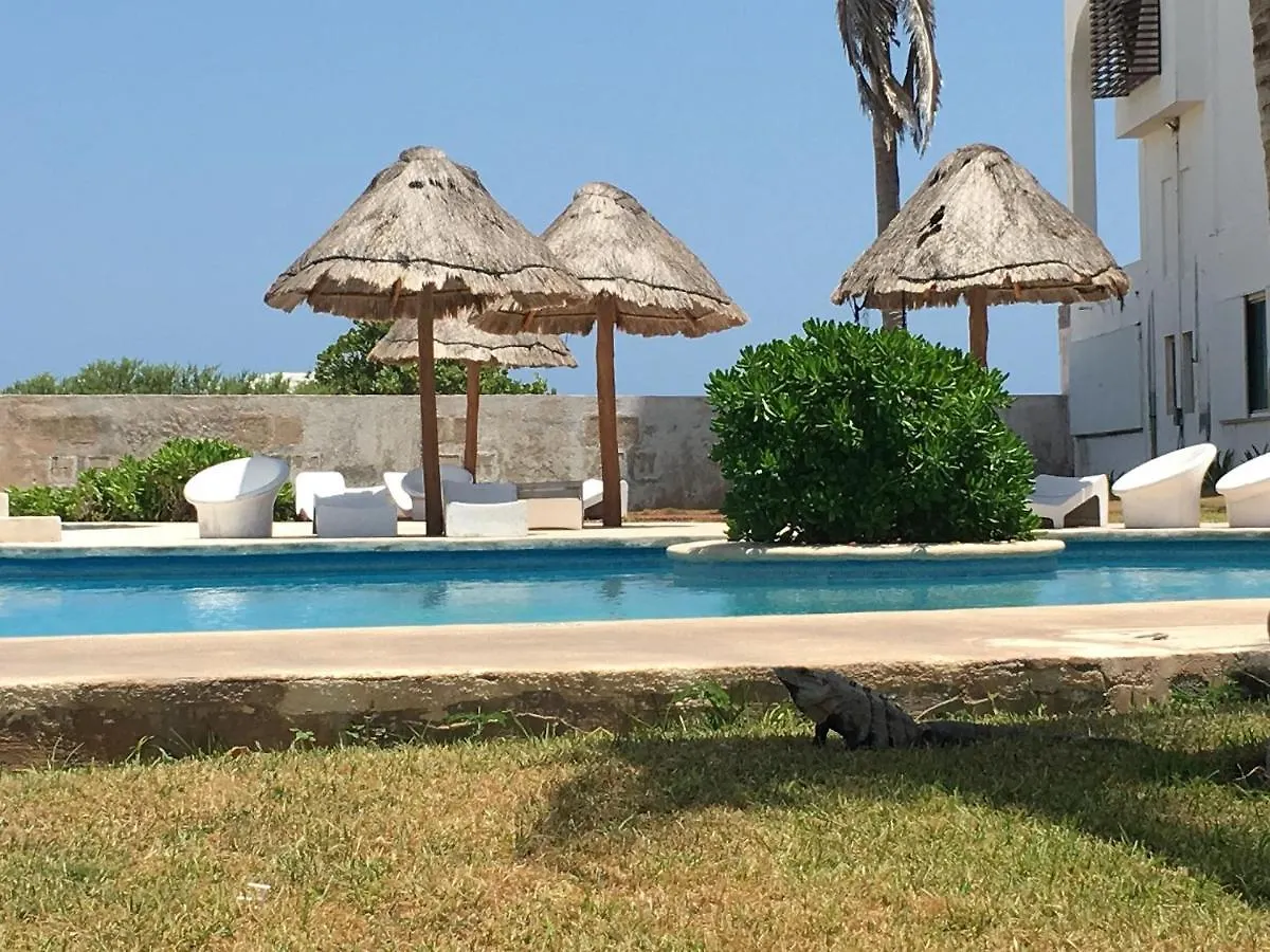 Beautiful Beach Front Pent House In Cancun!!! 0*,